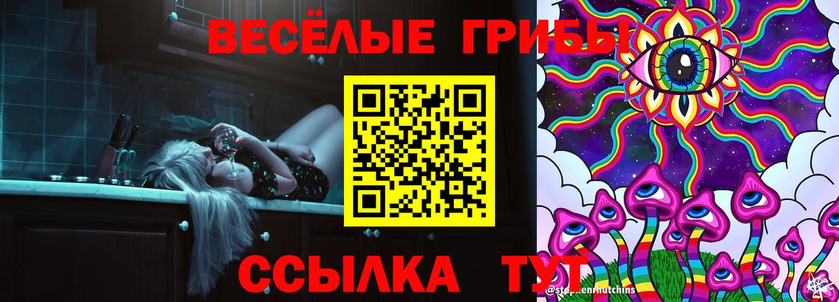Псилоцибиновые грибы GOLDEN TEACHER Ленинск-Кузнецкий